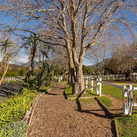 Novelle Vista Cottage Hout Bay Ngoại thất bức ảnh