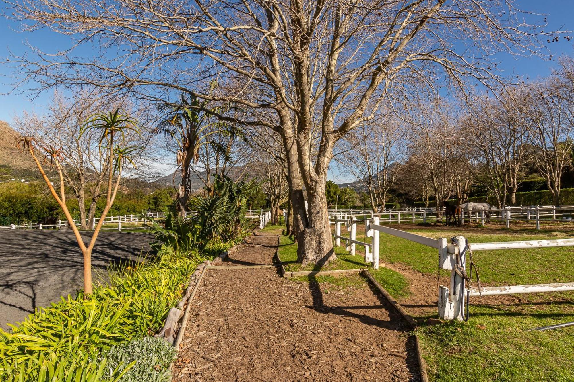 Novelle Vista Cottage Hout Bay Ngoại thất bức ảnh