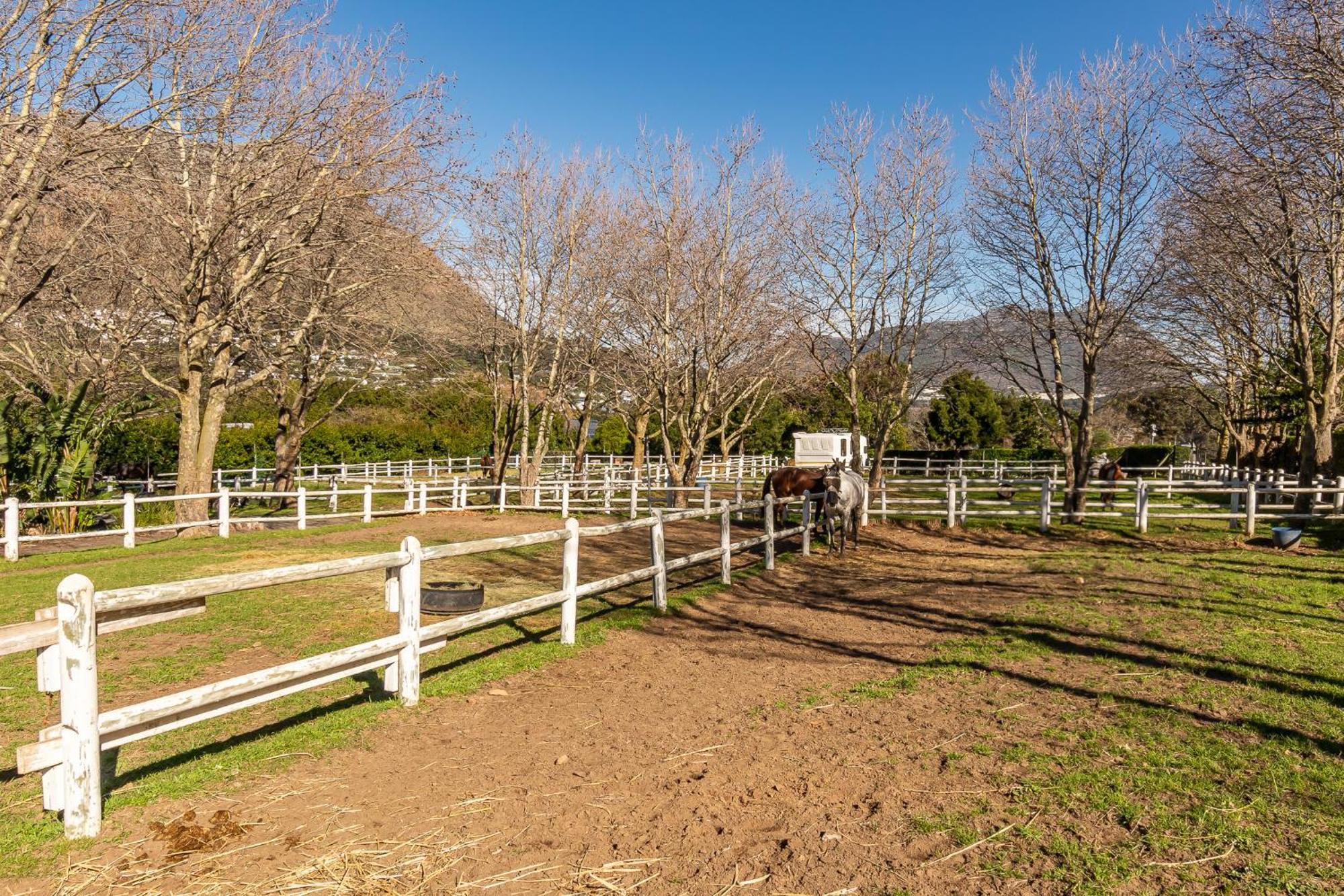 Novelle Vista Cottage Hout Bay Ngoại thất bức ảnh