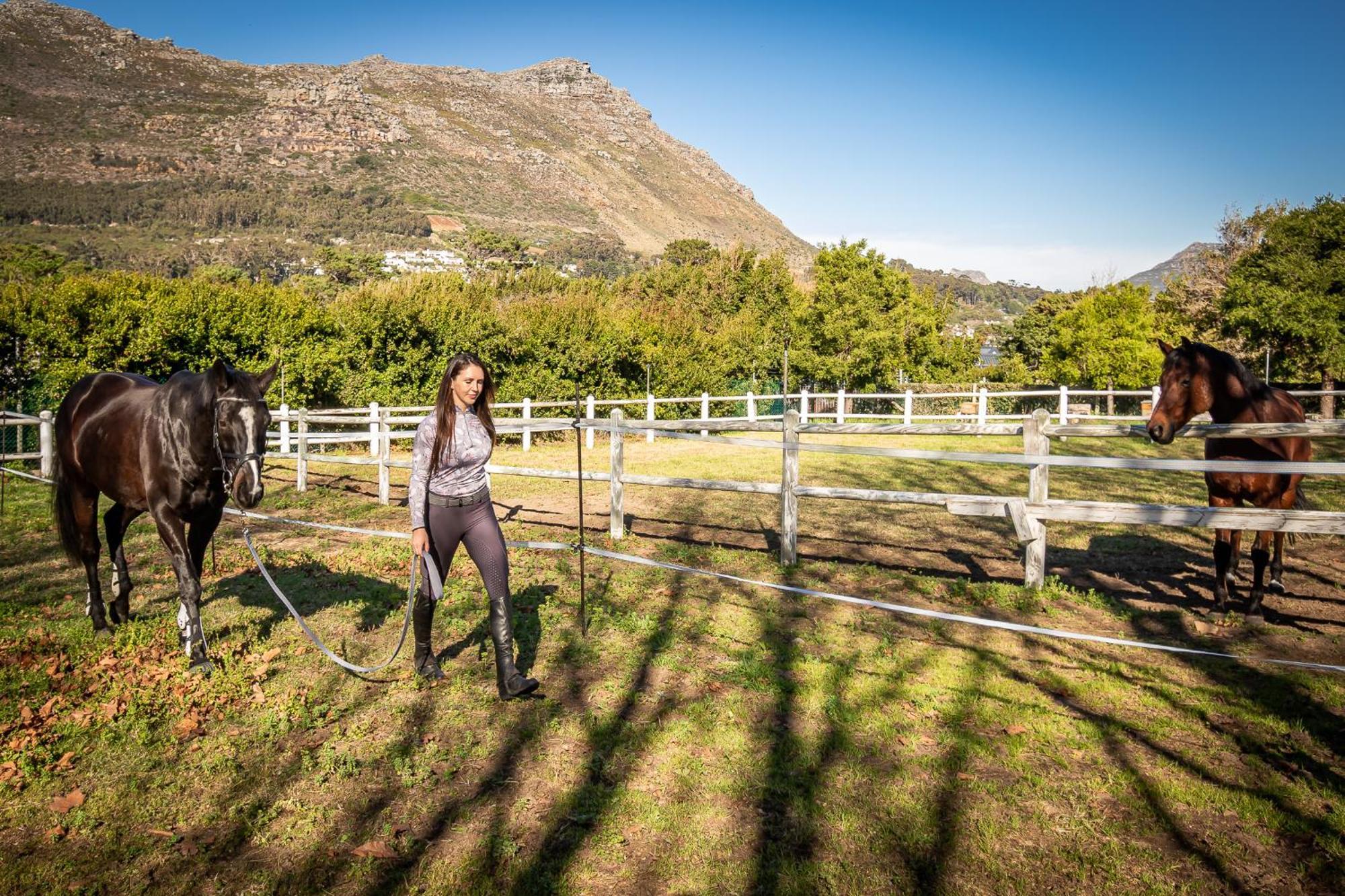Novelle Vista Cottage Hout Bay Ngoại thất bức ảnh